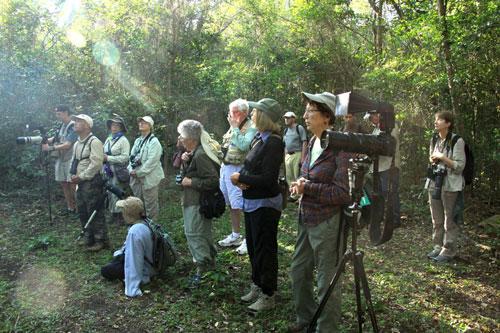 a-cuba-birders